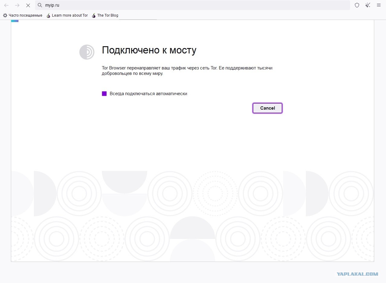 Впн для кракена