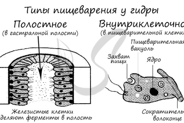 Kraken торговая площадка ссылка