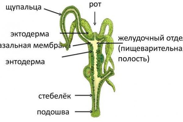 Площадка кракен kraken clear com