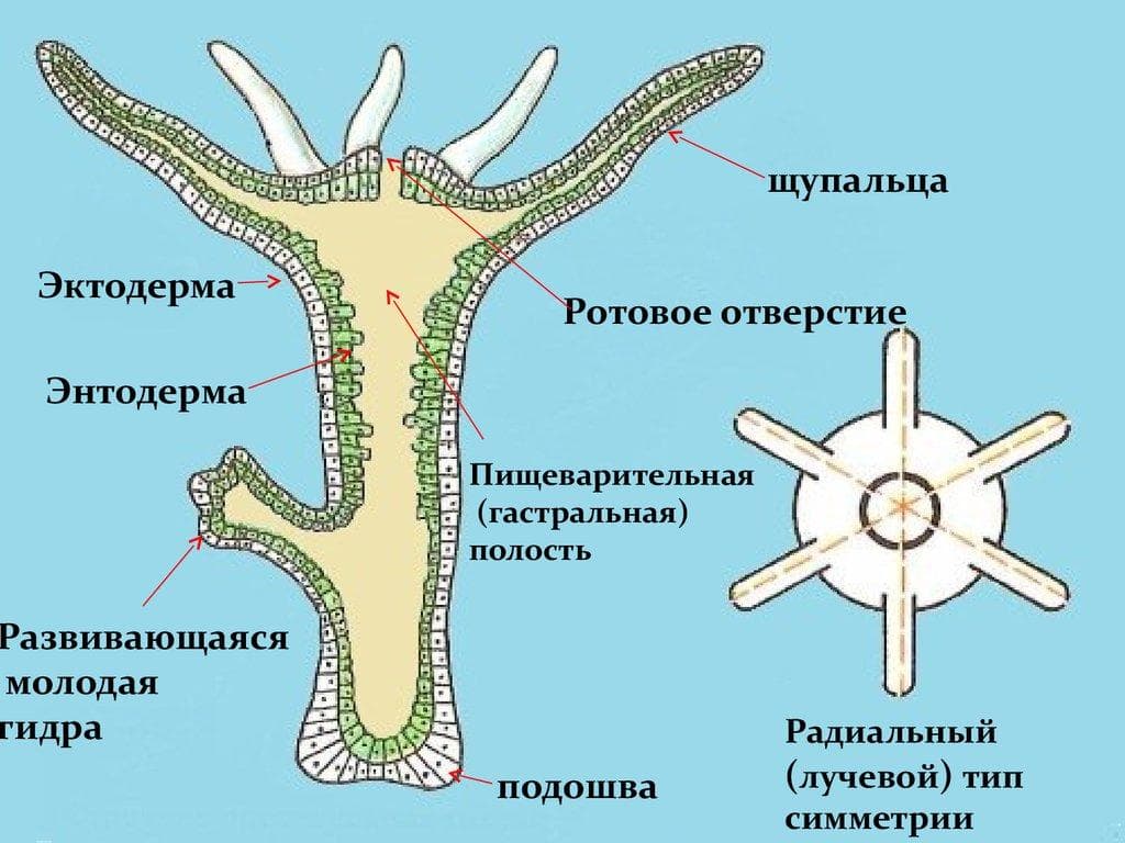 Kra27.cc